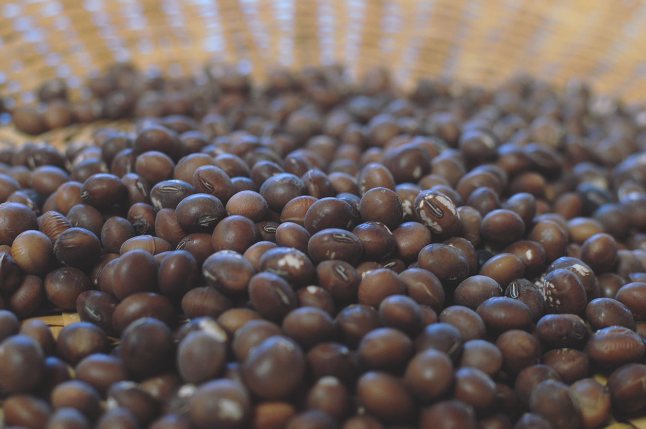 味噌づくりの会｜ten